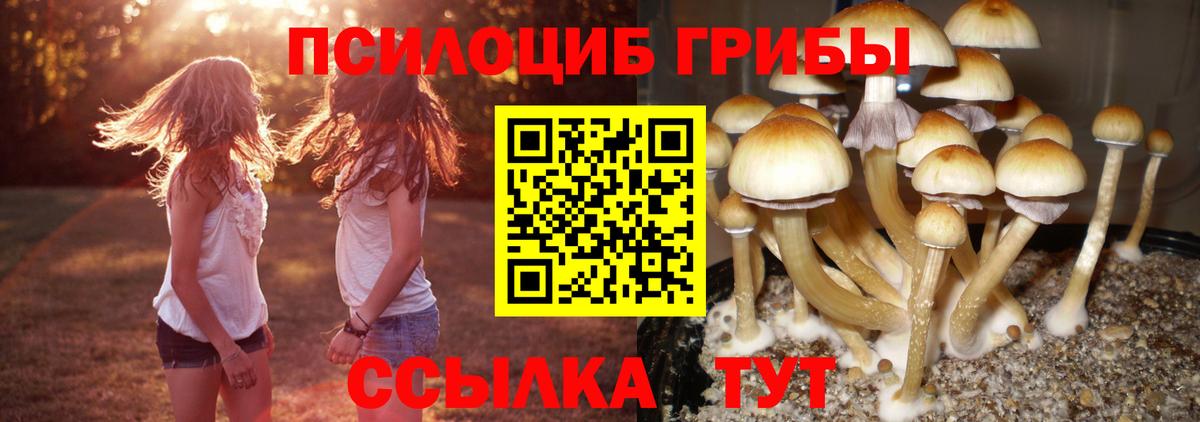 Псилоцибиновые грибы MAGIC MUSHROOMS Севастополь